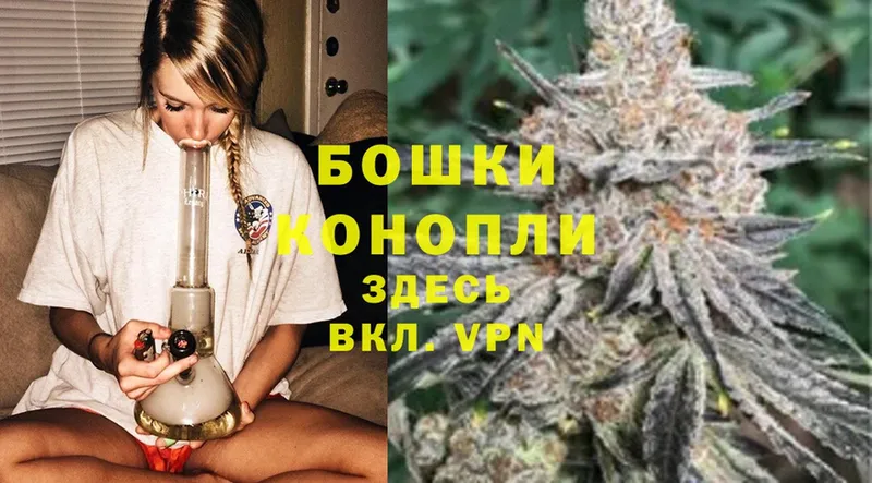 купить закладку  Электрогорск  Бошки Шишки Ganja 